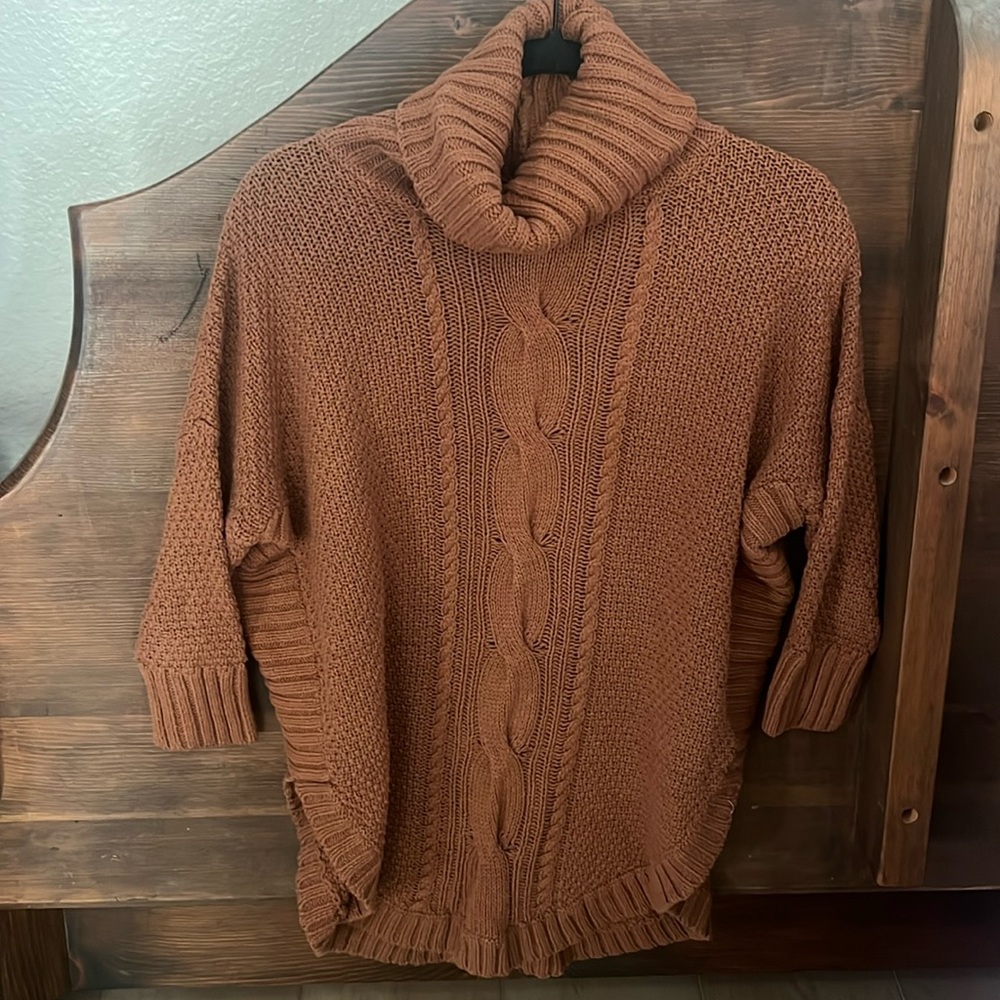 Express turtle neck sweater